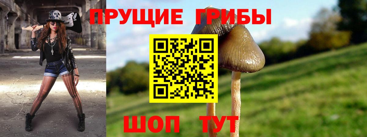 Кандалакша  Псилоцибиновые грибы ЛСД  Вход с VPN 